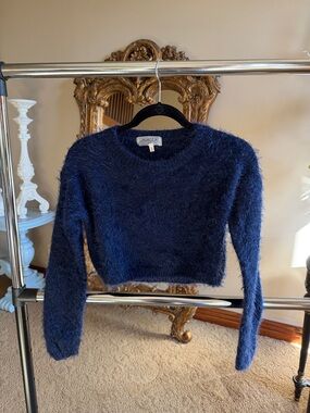 Fuzzy Navy Cropped Crewneck Sweater